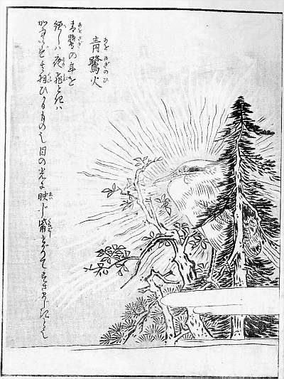 Aosaginohi