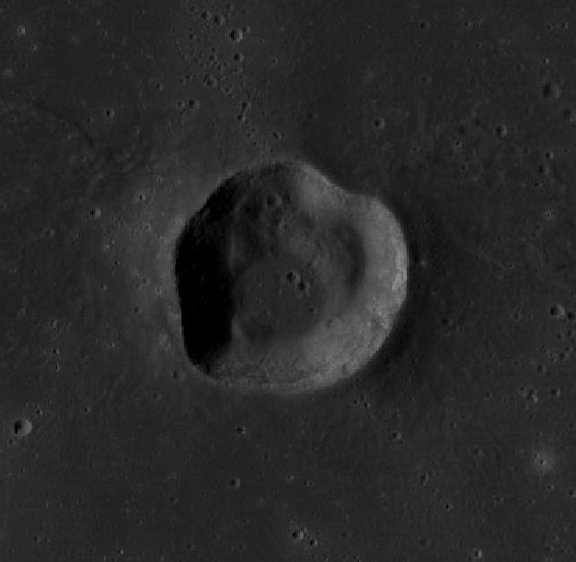 Herigonius