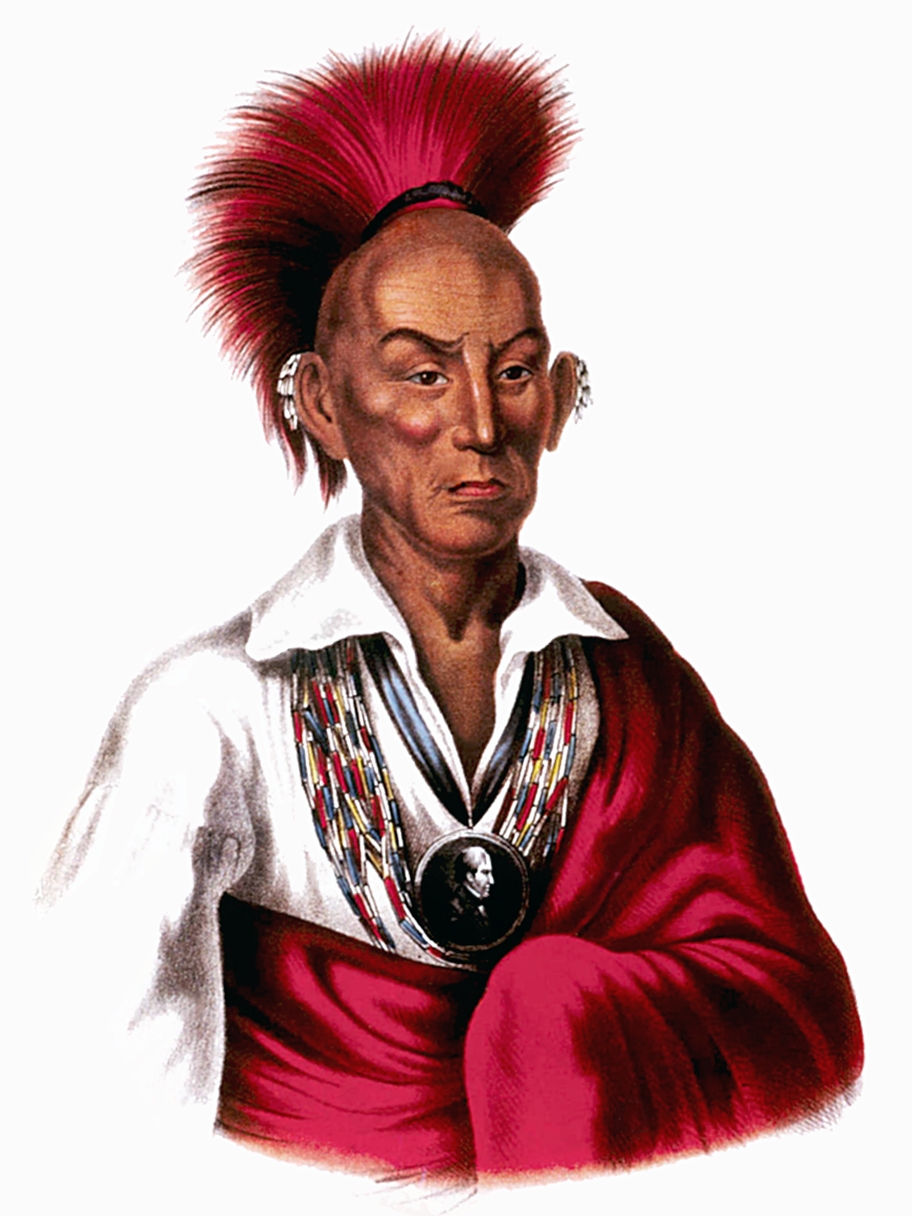 Black Hawk War