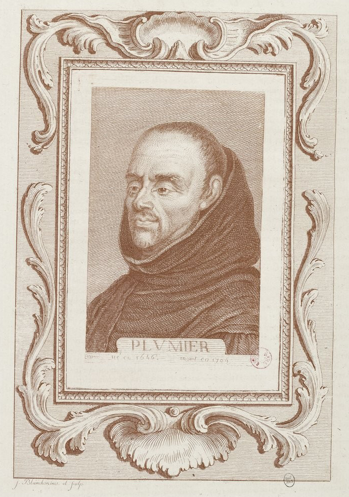 Charles Plumier