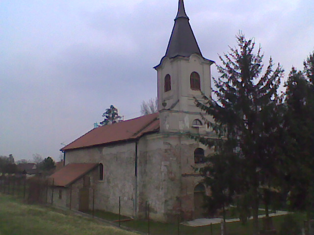 Tiszasüly