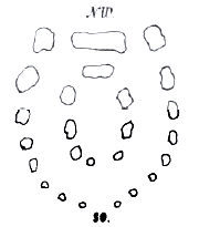 cromlech