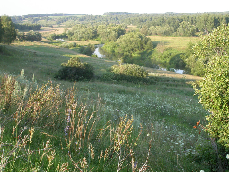 Zaraysky District