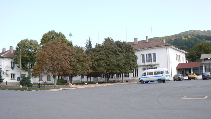 Divotino