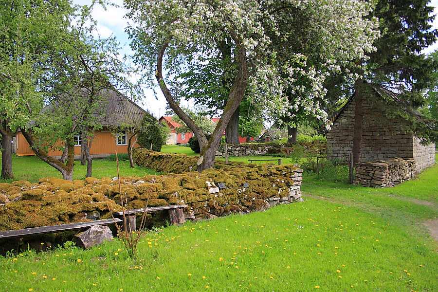 Mõega