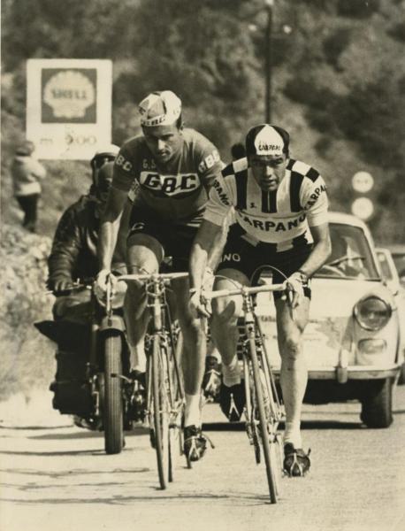 Willy Schroeders