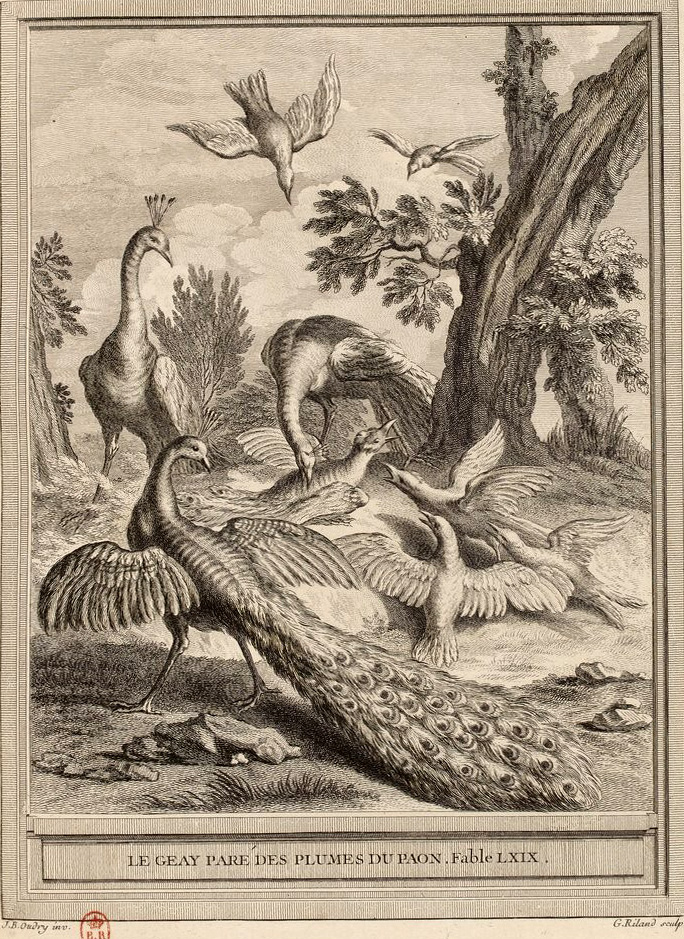 The Bird in Borrowed Feathers