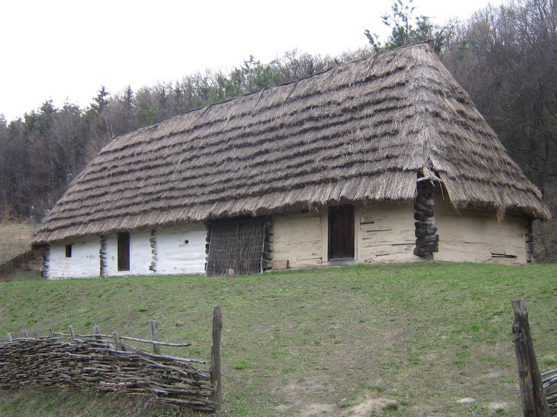 Strychava