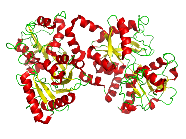 lactotransferrin
