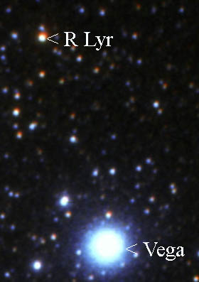 R Lyrae
