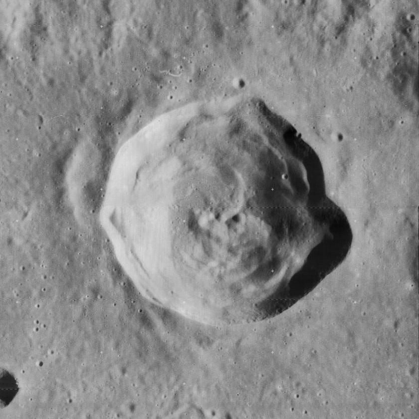 Horrocks