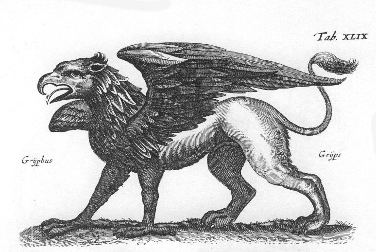 griffin