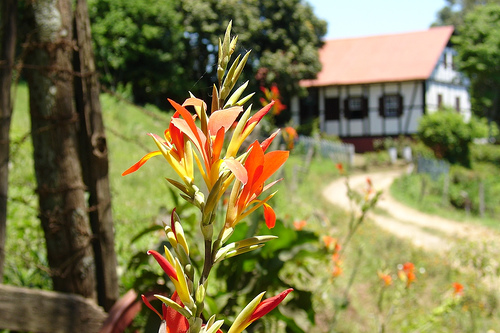 Teutônia