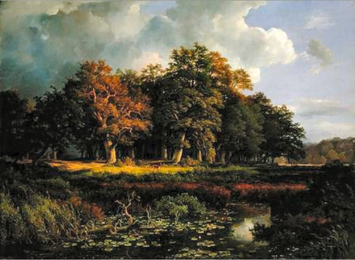 Sachsenwald