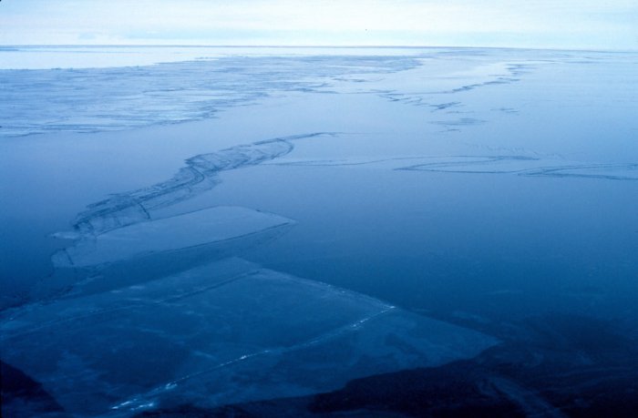 Ross Sea