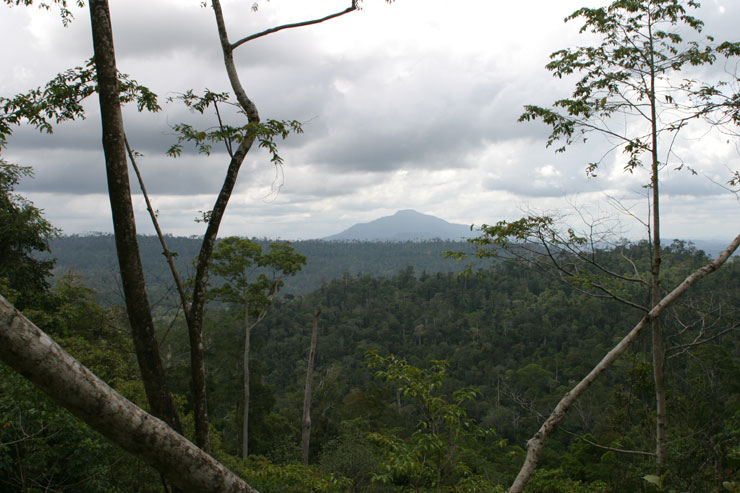 Meratus Mountains