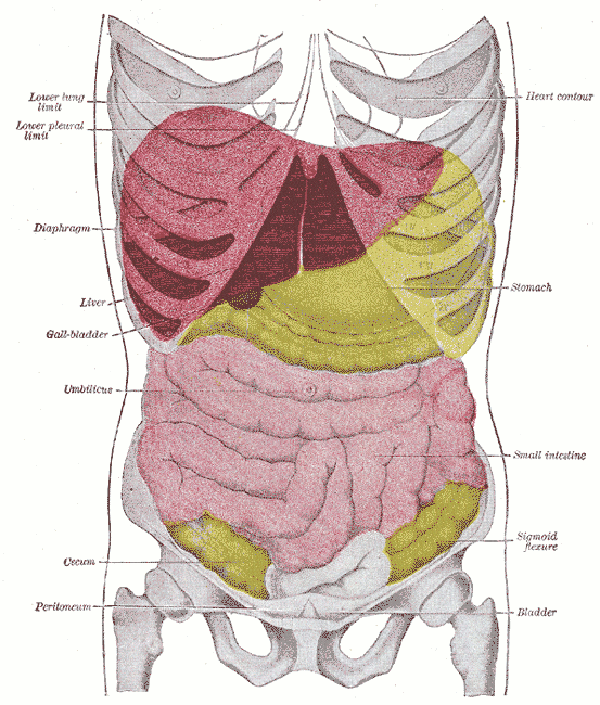 abdominal trauma