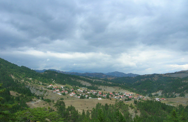 Mesolouri