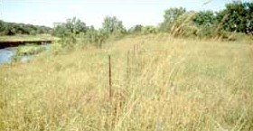 O'Brien County