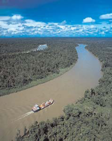 Fly River