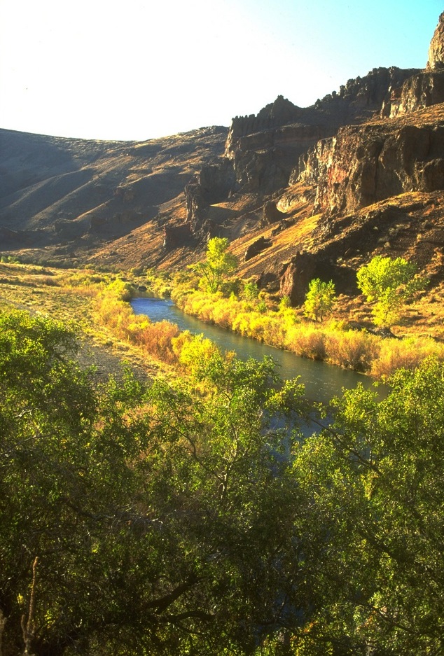 Owyhee River