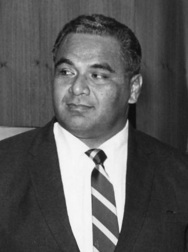Tu'i Pelehake