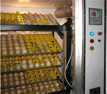 incubator