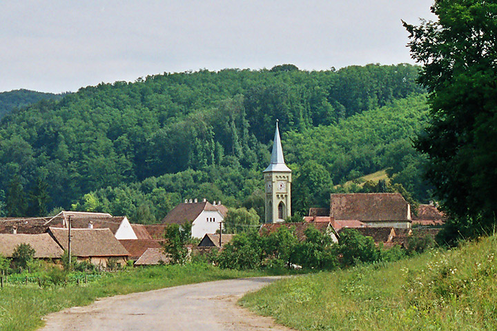 Nemșa