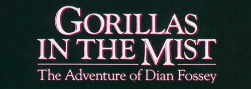 Gorillas in the Mist