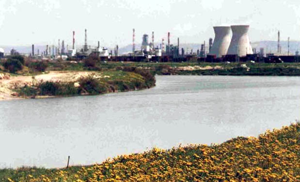 Kishon River