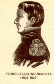 Pedro Celestino Negrete