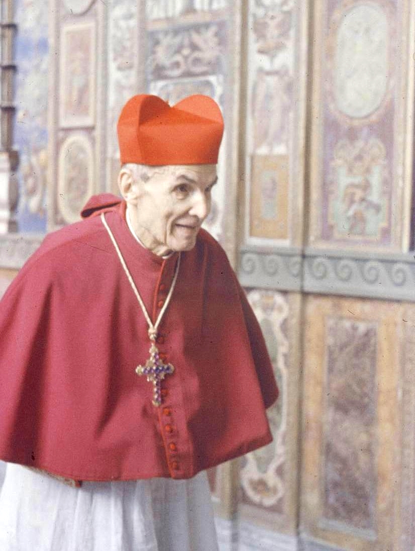 Elia Dalla Costa
