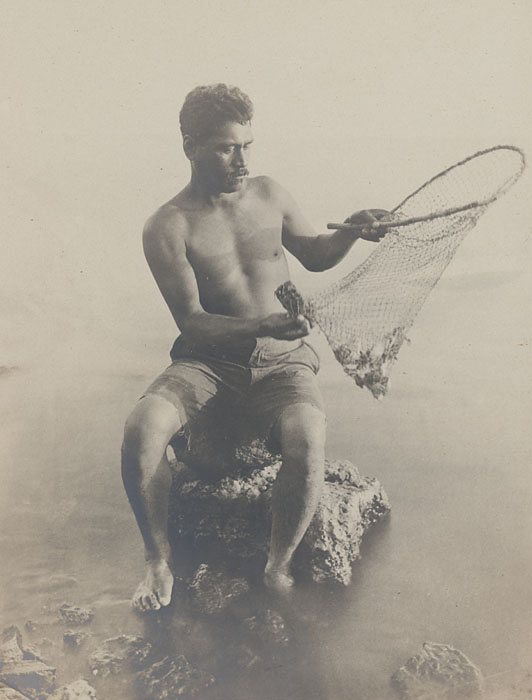hand net