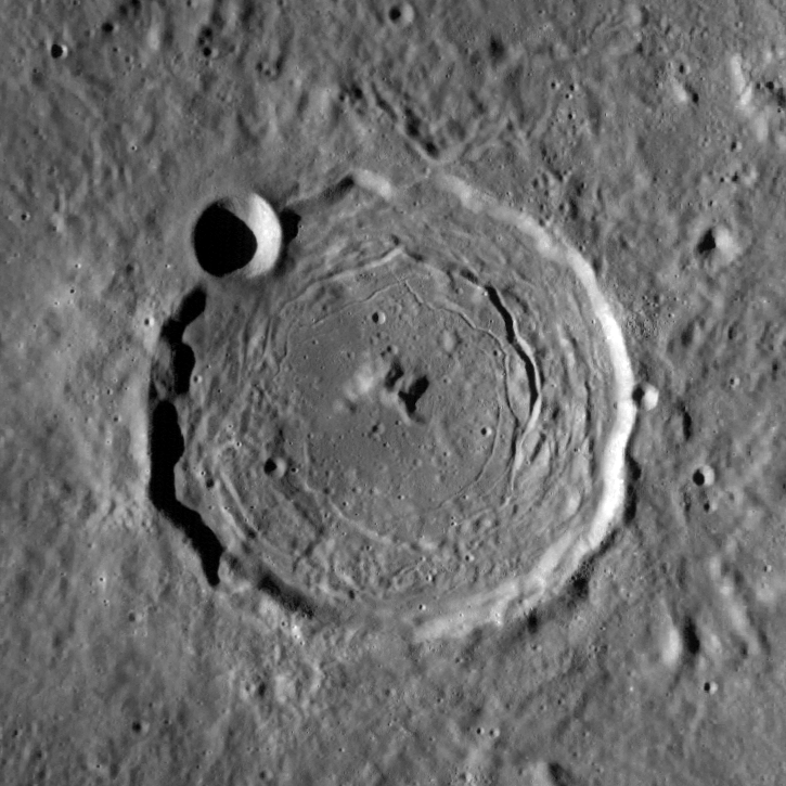 Taruntius