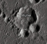 Müller