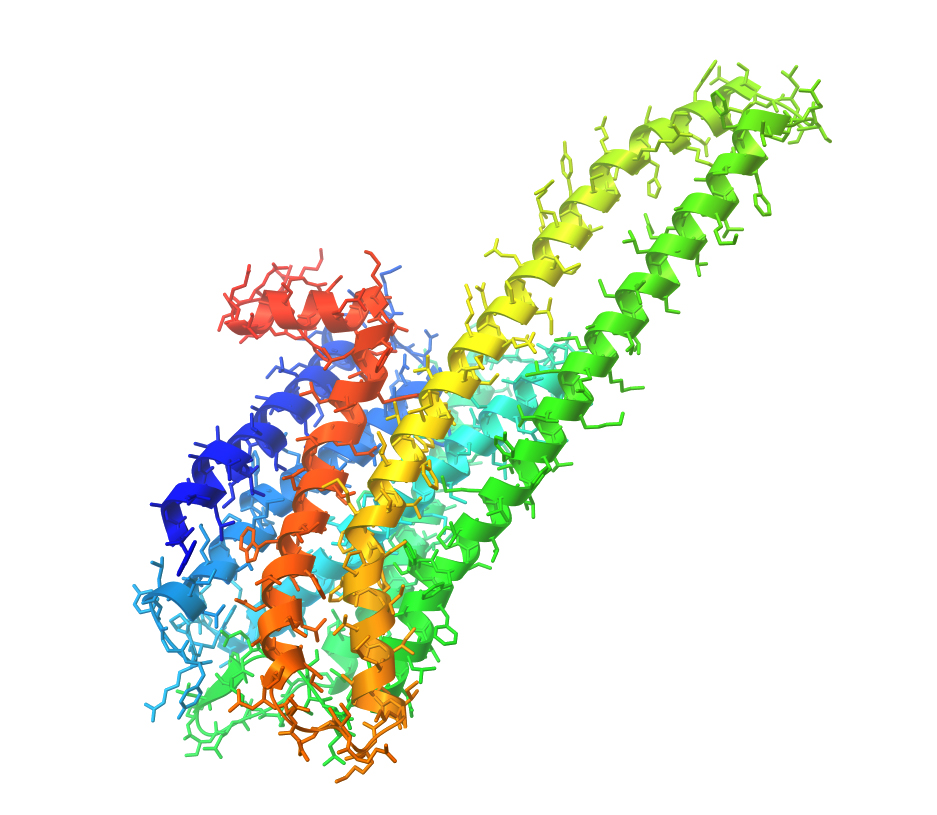 HTR2A