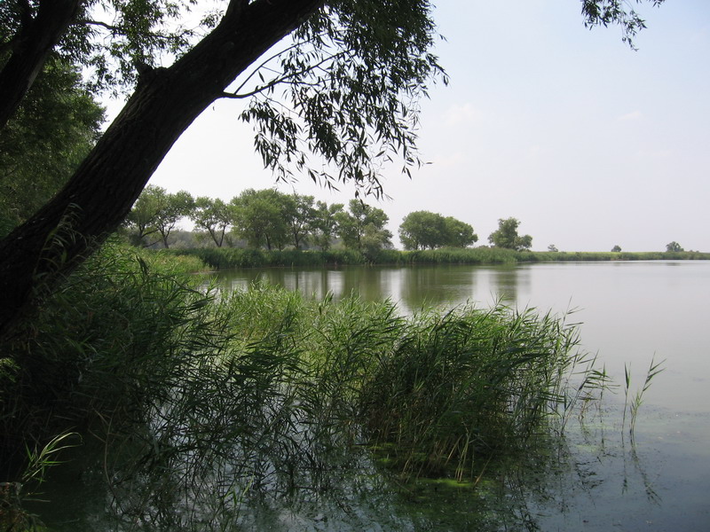 Samara River