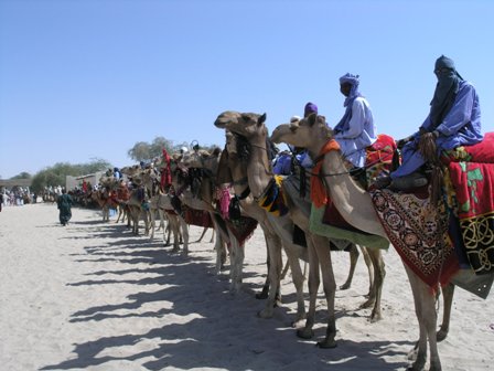 N'Guigmi Department