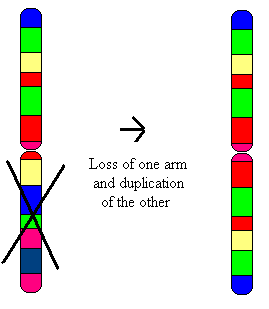 isochromosome