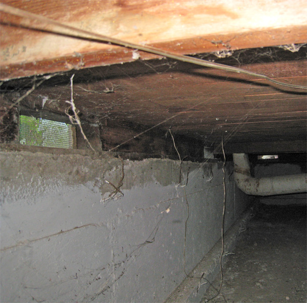 crawl space