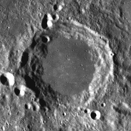 Berosus