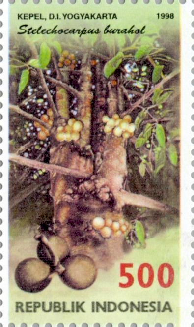 Stelechocarpus