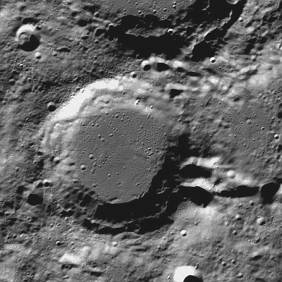 Cusanus