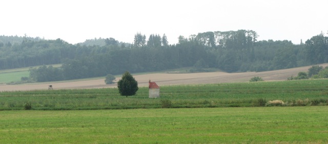 Palonín