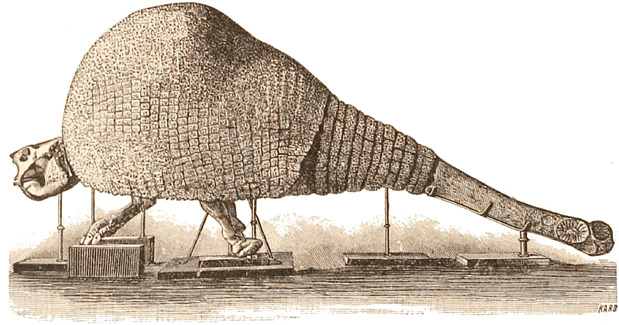 Doedicurus