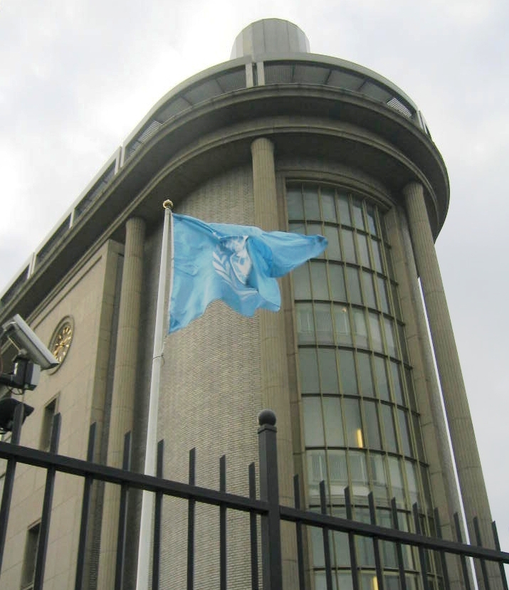 United Nations Security Council Resolution 1481