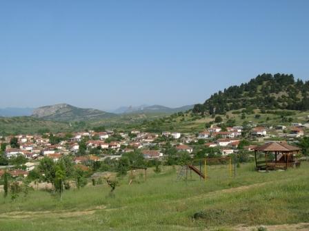 Rizoma