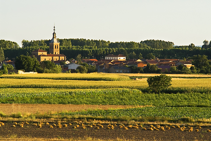 Villarejo de Órbigo
