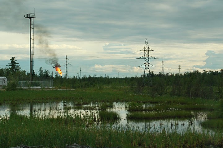 Nizhnevartovsk District