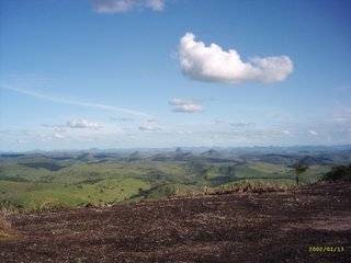 Ataléia